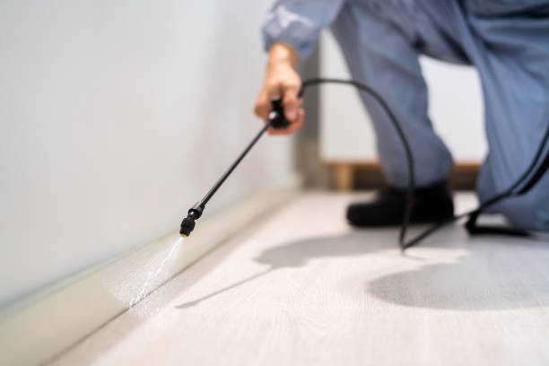Bed Bug Pre-Treatment Preparation Assessment in Granbury