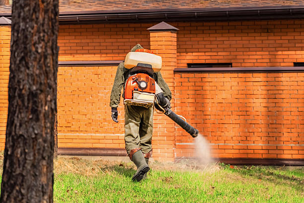 Bed Bug Clearance Verification and Documentation in Granbury